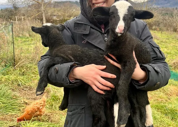 Semesterbostad De Charme Et Son Jacuzzi En Pleine Nature Beaux